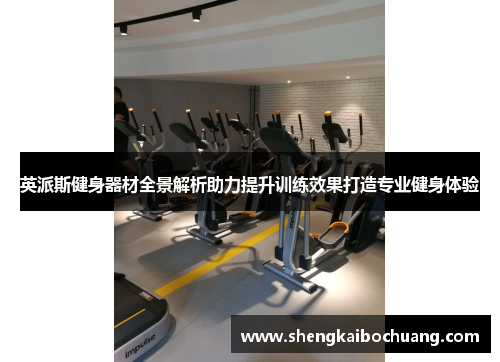 英派斯健身器材全景解析助力提升训练效果打造专业健身体验