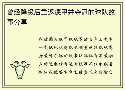 曾经降级后重返德甲并夺冠的球队故事分享